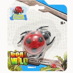 Hyönteinen Real Wild Erilaisia -Muovi Ja Lelu US Hyonteinen Real Wild leppkerttu