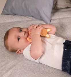 Purulelu Pupu Kaloo -Muovi Ja Lelu US K969922 0228f00309da6add3daf0de1ba1e7784 2