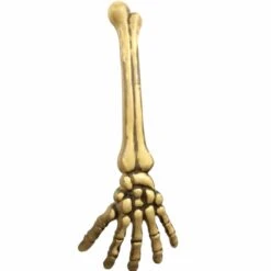 Koriste Luurankokäsivarsi 46 Cm