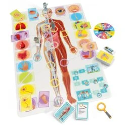 Opetellaan Ihmeellinen Keho Lautapeli +7v 5 Opetellaan Ihmeellinen Keho Lautapeli +7v -Muovi Ja Lelu US Nimeton malli 2025 02 06T151422.768