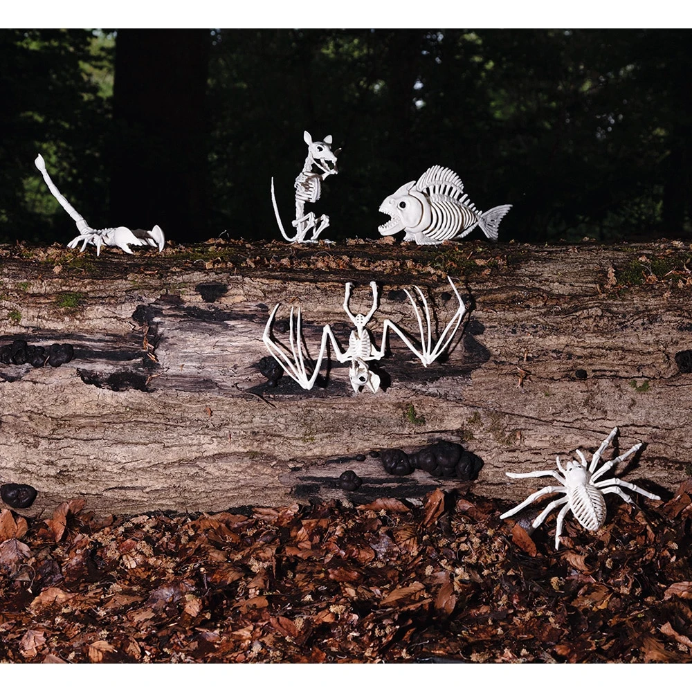 Luuranko Skorpioni Halloween -koriste 4 Luuranko Skorpioni Halloween -koriste - Image 2